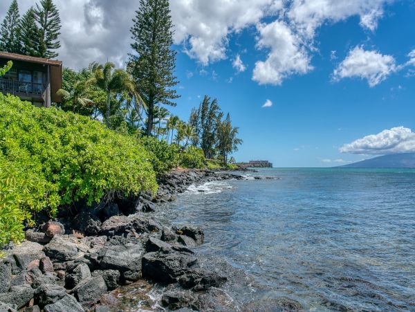 Kahana Home 1017152