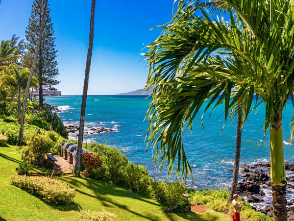 Kahana Home 1017153