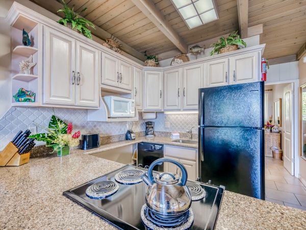Kahana Home 1017157