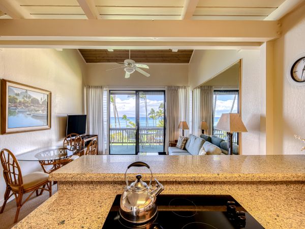 Kahana Home 1017159