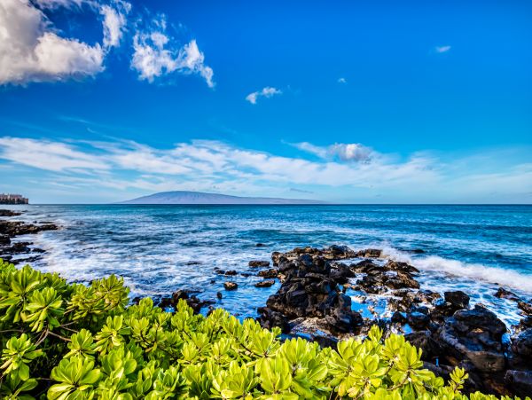 Kahana Home 1017159