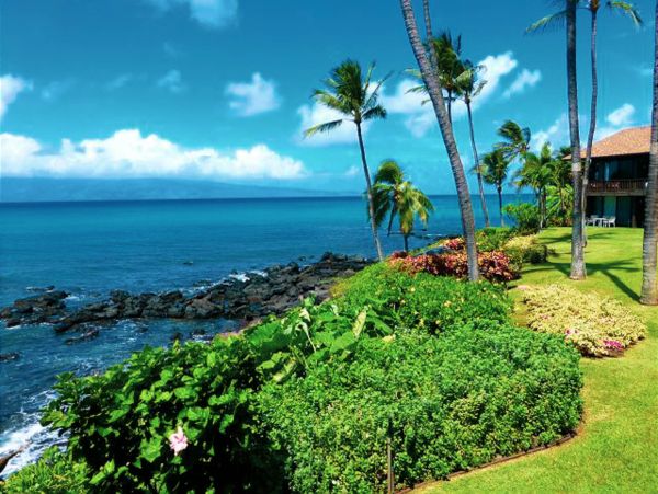 Kahana Home 1017162