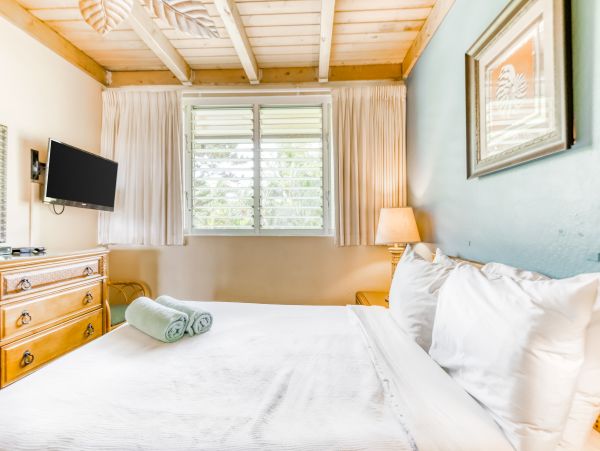 Kahana Home 1017165