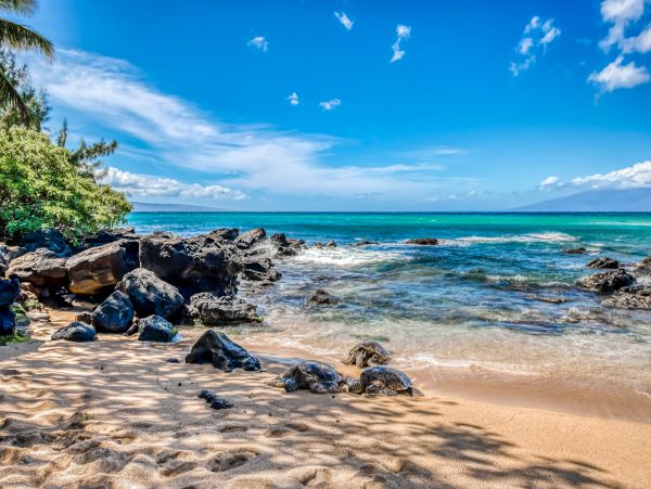 Kahana Home 1017183