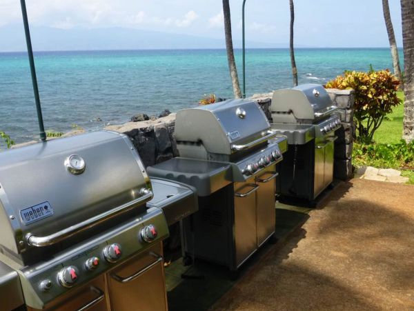 Kahana Home 1017185