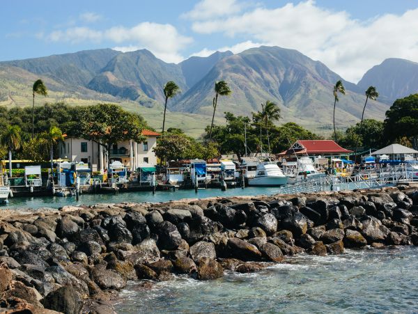 Lahaina Home 1017187