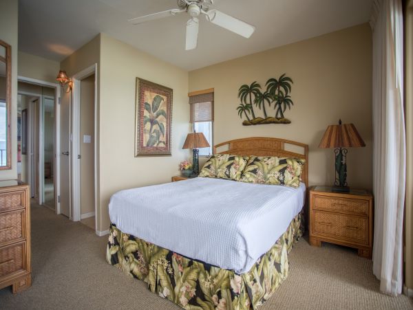 Kahana Home 1017188