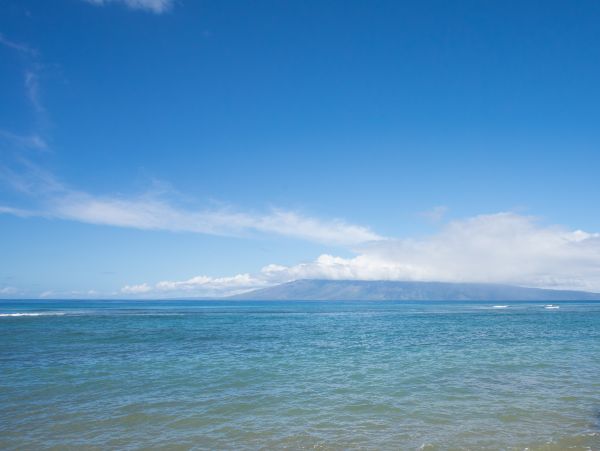 Kahana Home 1017188