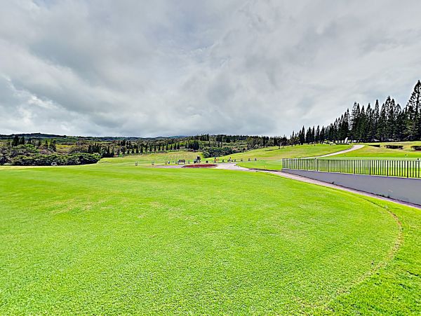 Kapalua Home 1017190