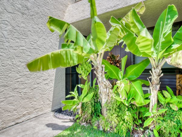 Oceanfront Vacation Condo with 2 Bedrooms & Amazing Views
