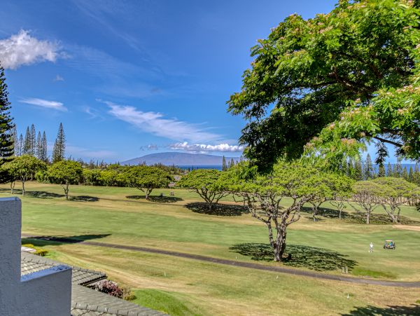 Kapalua Home 1017194