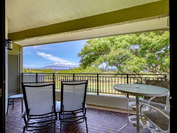 Kapalua Home 1017194