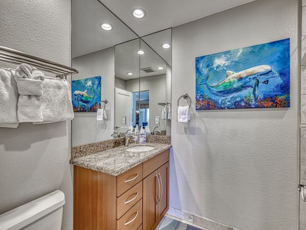Kapalua Home 1017194
