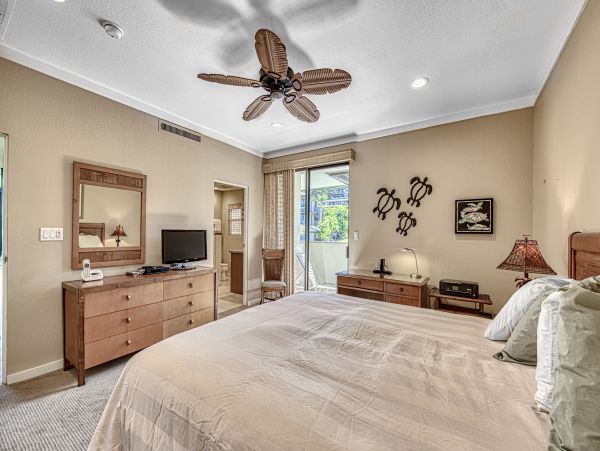 Kapalua Home 1017194