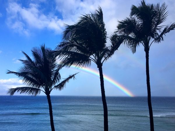 Kaanapali Home 1017205