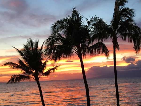 Kaanapali Home 1017205