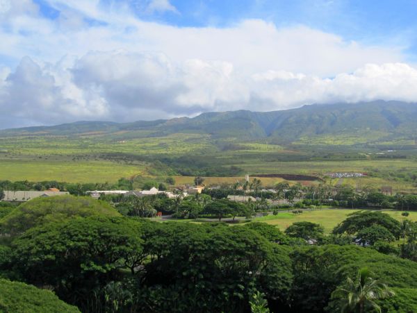 Kaanapali Home 1017205