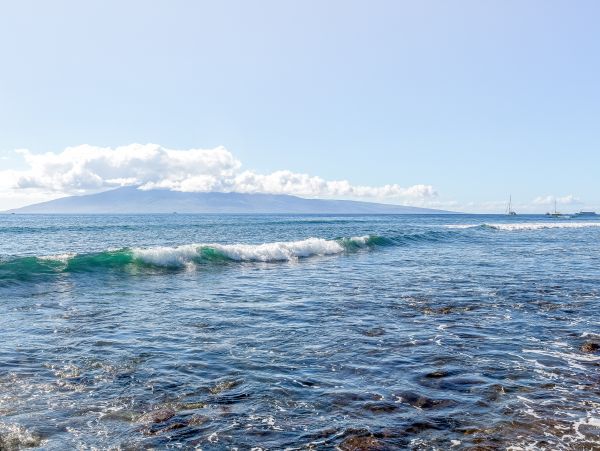 Lahaina Home 1017208
