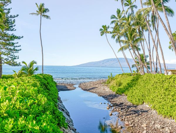 Lahaina Home 1017208