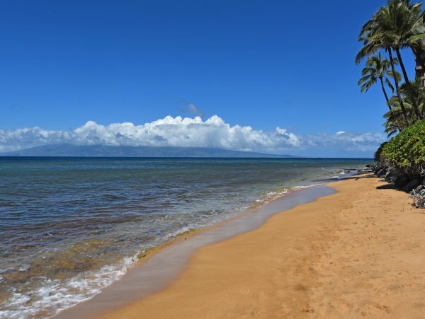 Kaanapali Home 1017211