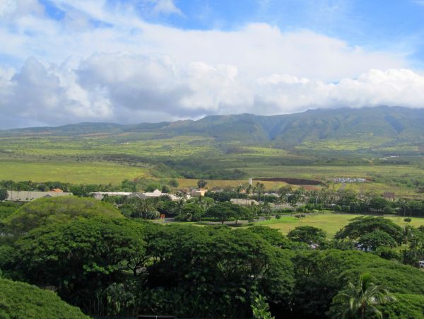 Kaanapali Home 1017211