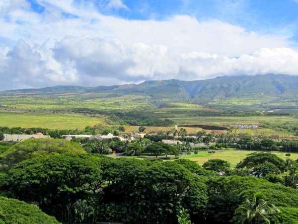 Kaanapali Home 1017212