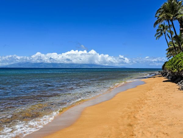 Kaanapali Home 1017212