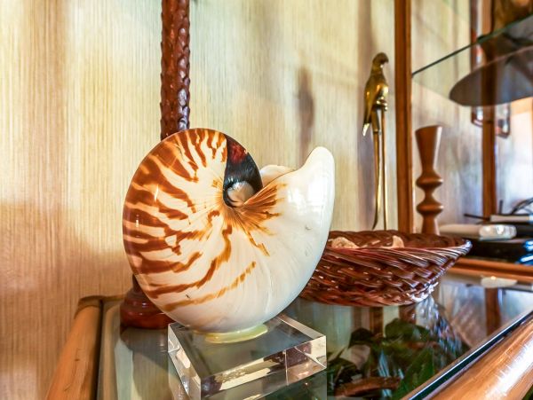 Kaanapali Home 1017213