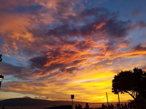 Lahaina Home 1017216