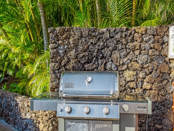 Lahaina Home 1017217