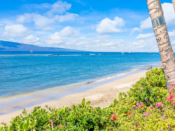 Lahaina Home 1017218