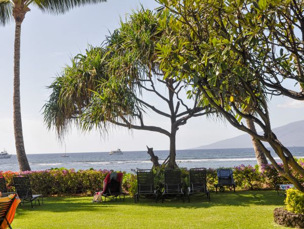 Lahaina Home 1017218