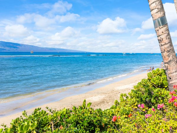 Lahaina Home 1017219