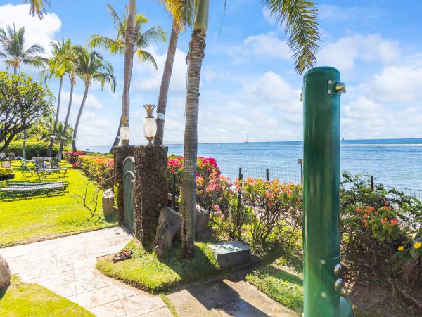 Lahaina Home 1017219