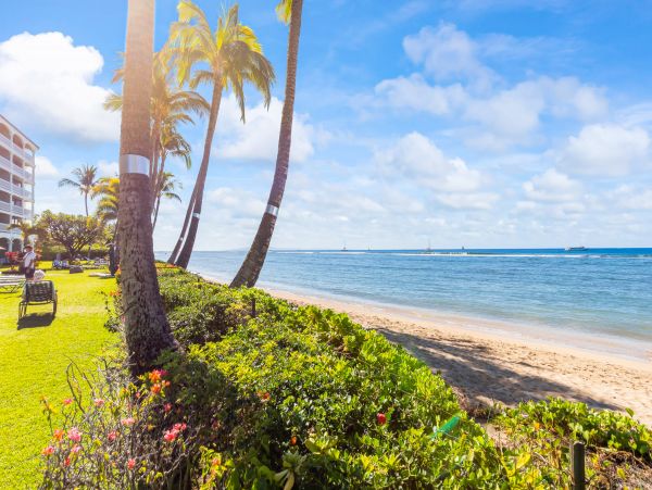 Lahaina Home 1017219