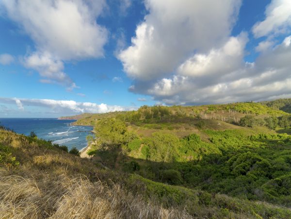 Kahana Home 1017223