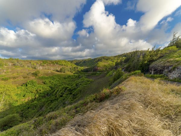 Kahana Home 1017223