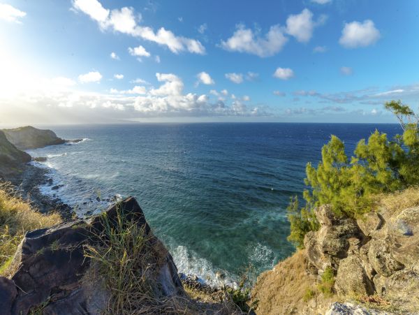 Kahana Home 1017223