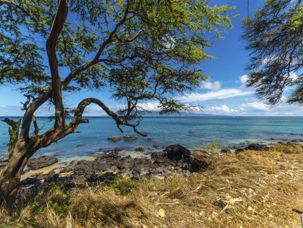 Kahana Home 1017223