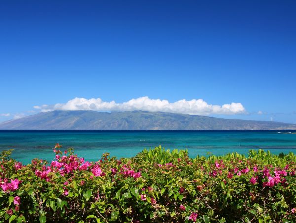 Lahaina Home 1017224