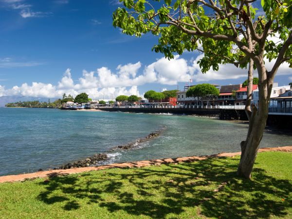 Lahaina Home 1017224