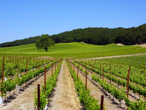Santa Barbara County Home 1017295
