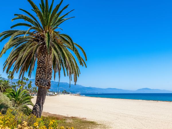 Santa Barbara County Home 1017347