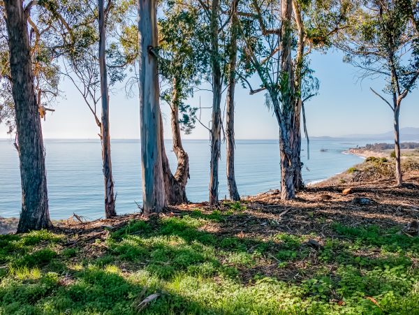 Santa Barbara County Home 1017355