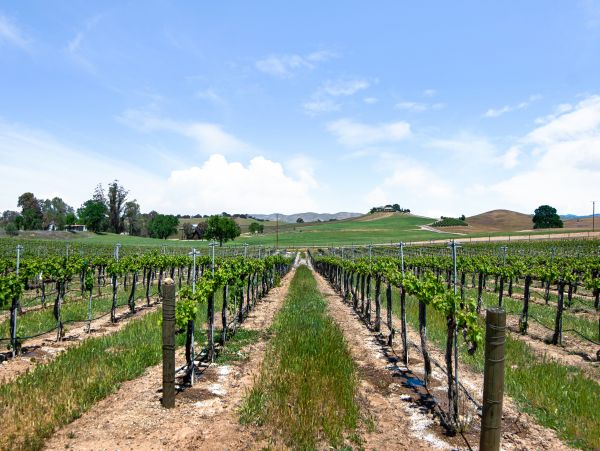 Santa Barbara County Home 1017373