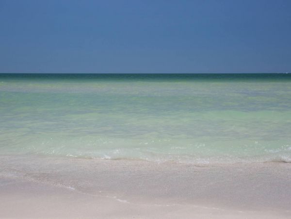 Treasure Island Condo 1017385
