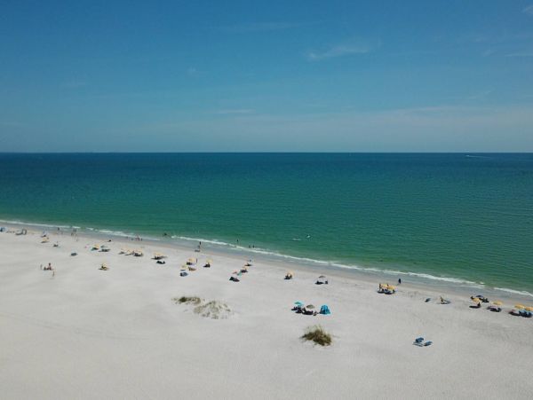Treasure Island Condo 1017386