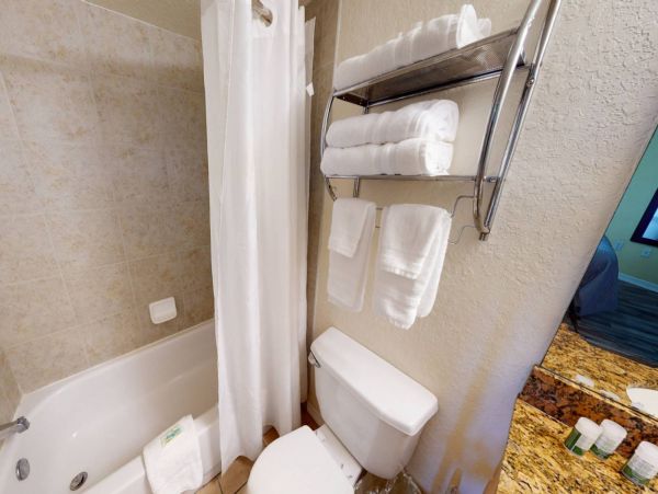 Treasure Island Condo 1017389
