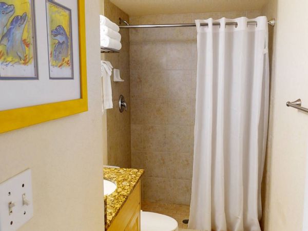 Treasure Island Condo 1017389