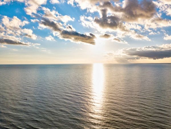 Treasure Island Condo 1017390